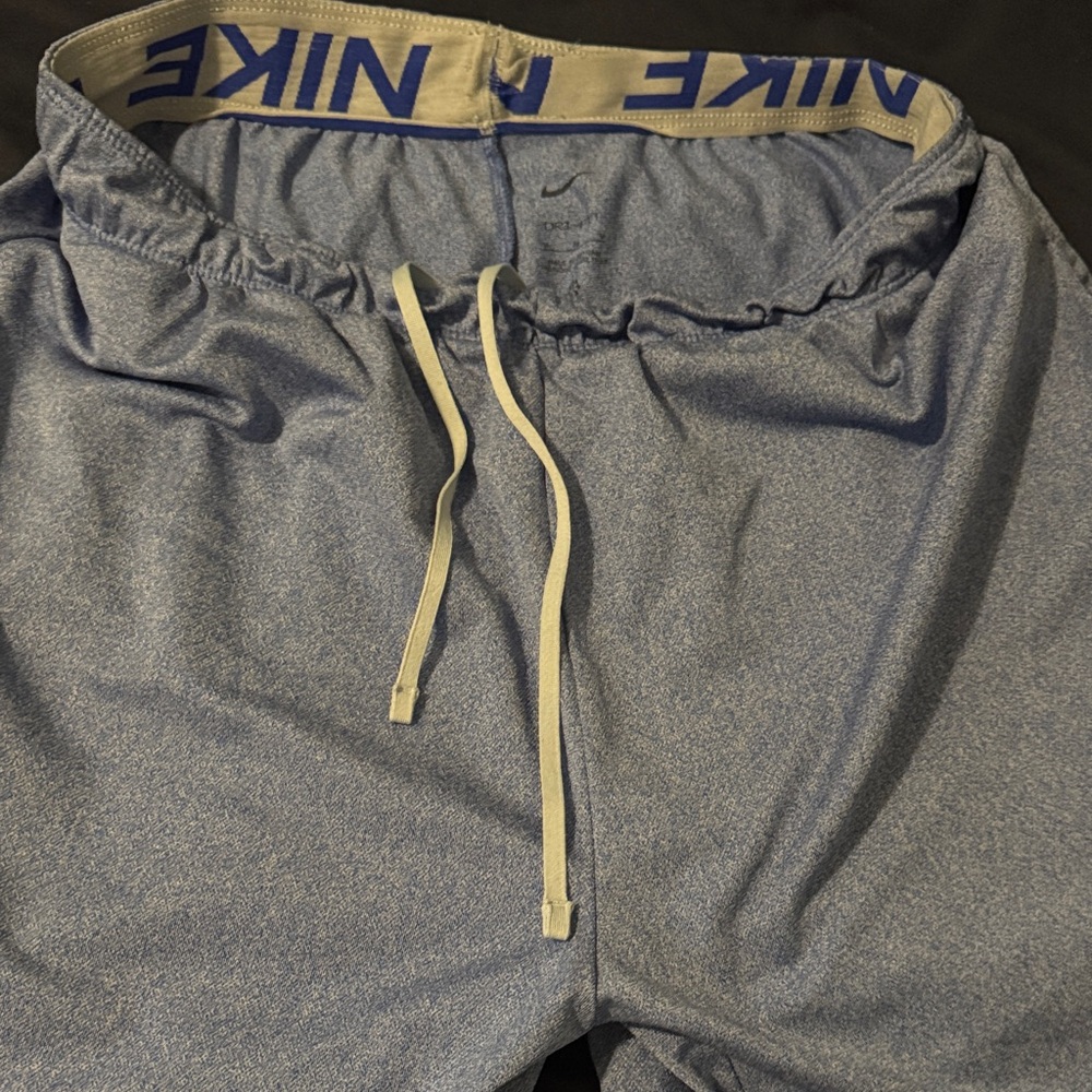 Nike Purple / Blue Training Shorts